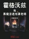 霍格沃兹:我,黑魔法进攻课老师