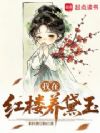 我在红楼养黛玉